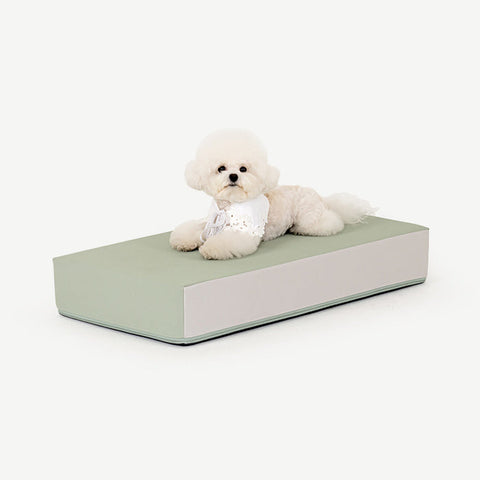 【PRE-ORDER】Non-Slip Pet Step 1-Tier