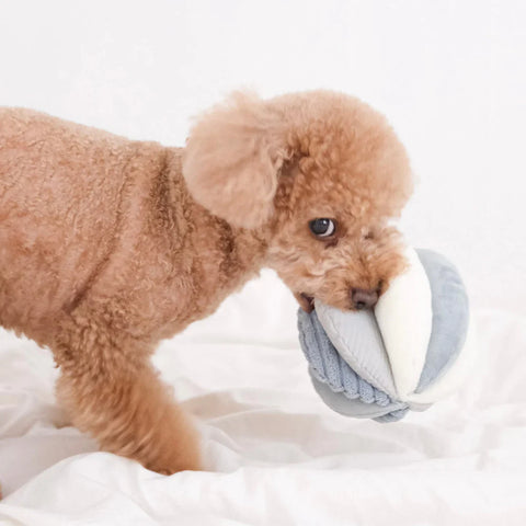TOTO Squeaky Snuffle Ball Dog Toy