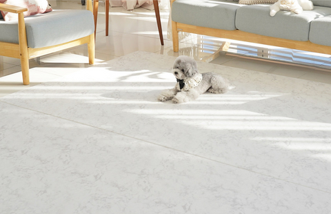 【PRE-ORDER】Non-Slip Waterproof Pet Mat - Rug 整體款 (Modern Pattern)