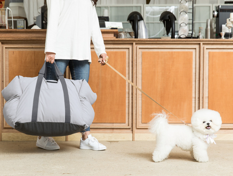 【PRE-ORDER】Pet carseat