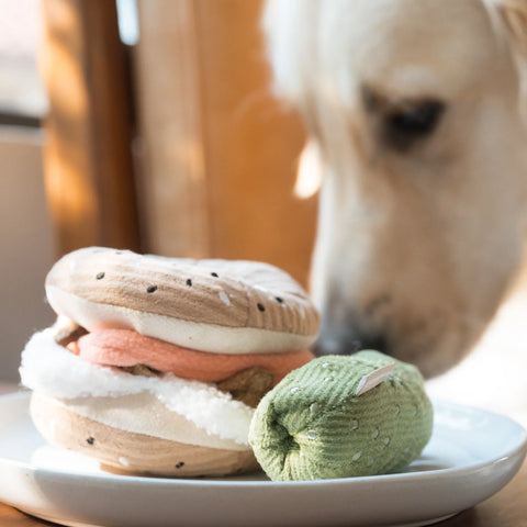 Bagel + Pickle