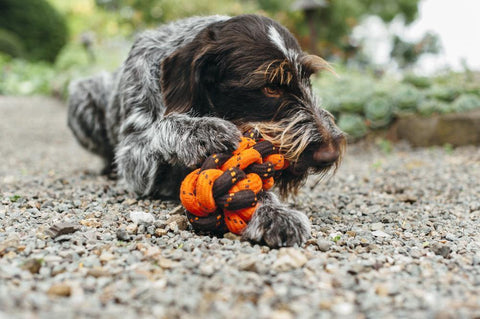 Honeycomb Rope Toy - Petisan