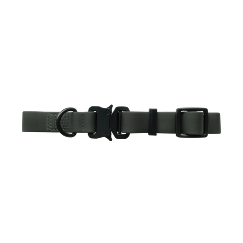 AVA // Quick-release metal buckle collar