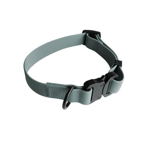 AVA // Quick-release metal buckle collar