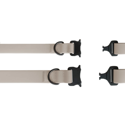 AVA // Quick-release metal buckle collar
