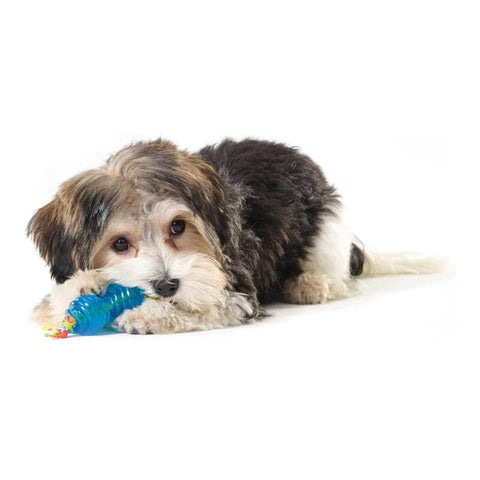 Orka Chew Toy (Pair)