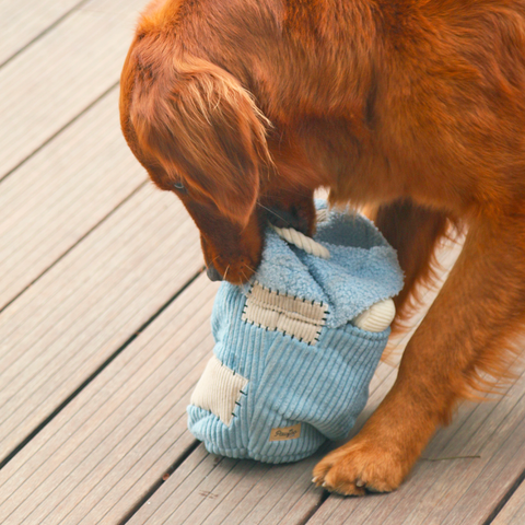 Trash Bin Dog Hide and Seek Toy