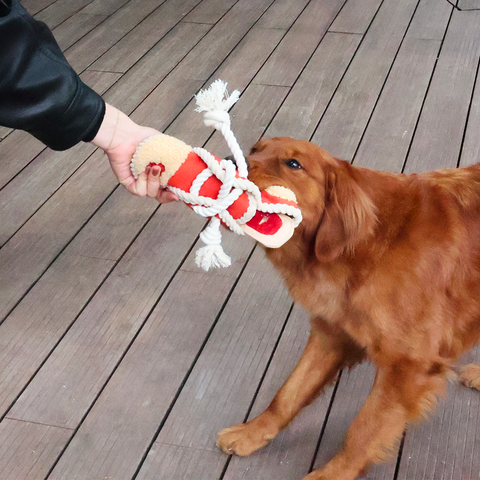 Shoe Dog Rope & Snuffle Toy