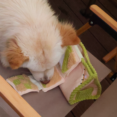 Tissue Box Dog Puzzle Toy