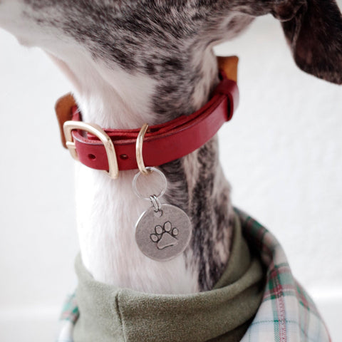 Pet ID Name Tag
