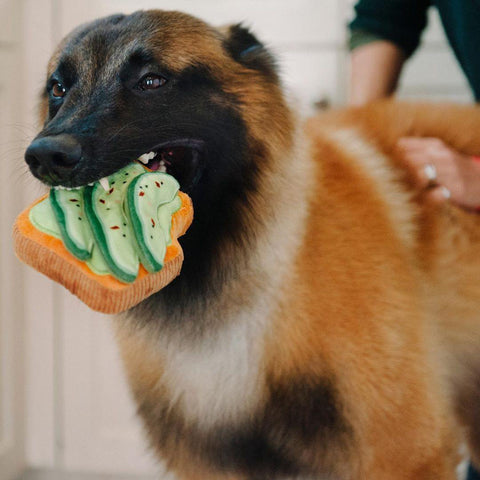 Barking Brunch Collection - Petisan