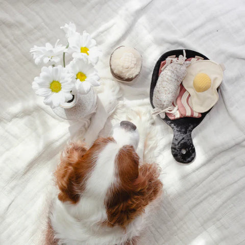 BFAST SET - snuffle + burrow toy
