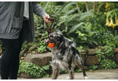 Tug Ball Rope Toy - Petisan