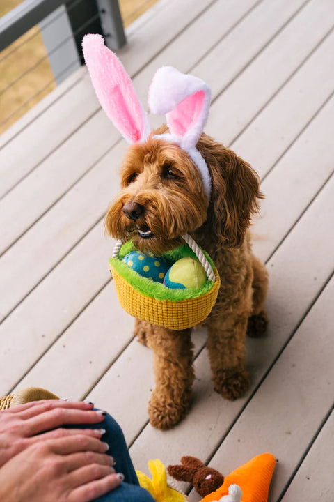 Dog Plush Toy - Hippity Hoppity Collection