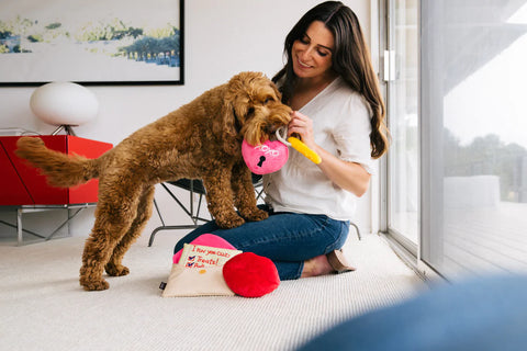Dog Plush Toy - Love Bug Collection