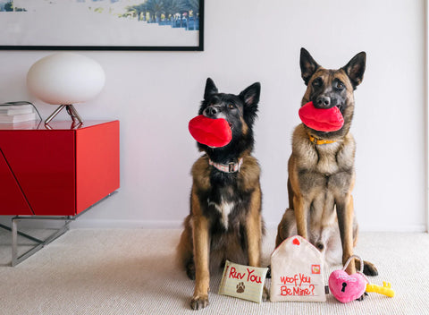 Dog Plush Toy - Love Bug Collection