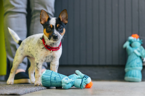 Dog Plush Toy - Totally Touristy Collection