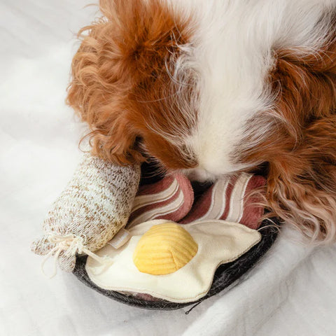 BFAST SET - snuffle + burrow toy