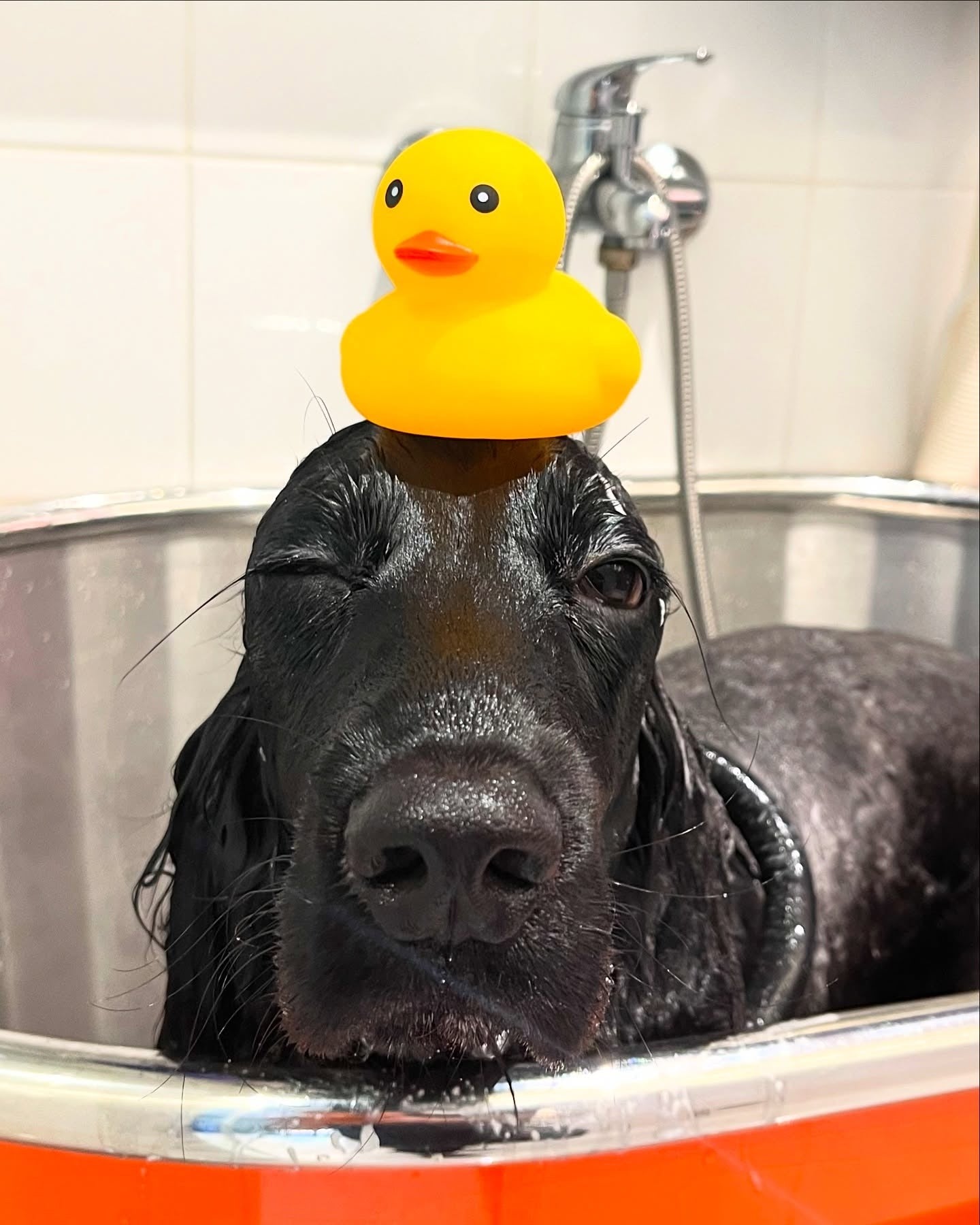 The standing spa appointment
