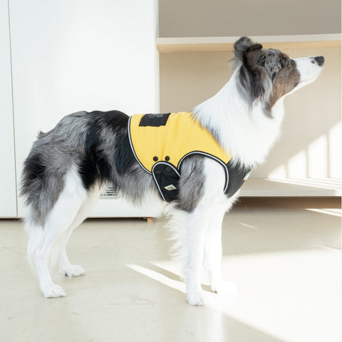 Clay Cooling Vest - Pet Cooling Vest