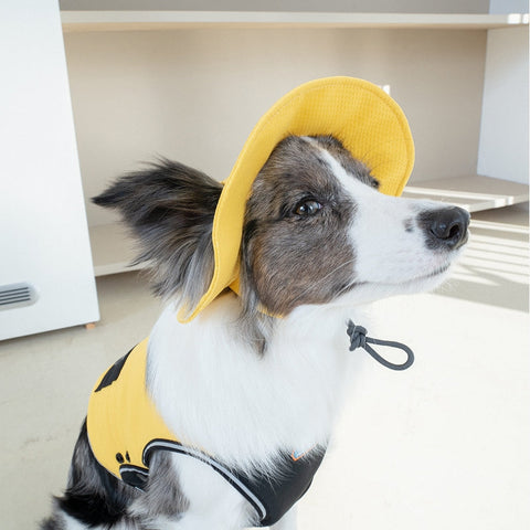 Dog wearing a yellow raincoat with a hood indoors