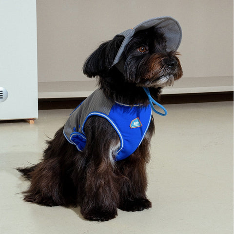 Dog wearing a blue and gray jacket with a hood indoors.