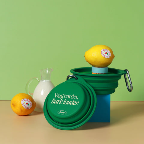 Doggu Water Bowl