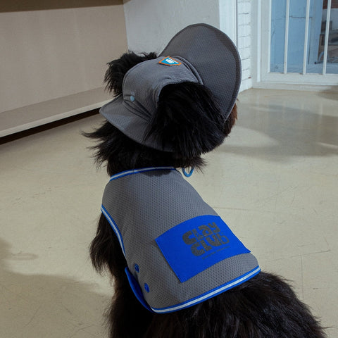 Dog wearing a gray and blue raincoat indoors on a tiled floor.