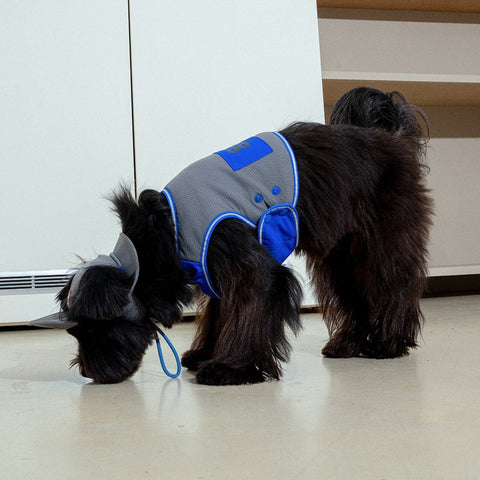 Clay Cooling Vest - Pet Cooling Vest