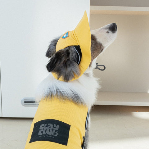 Clay Cooling Dog Hat