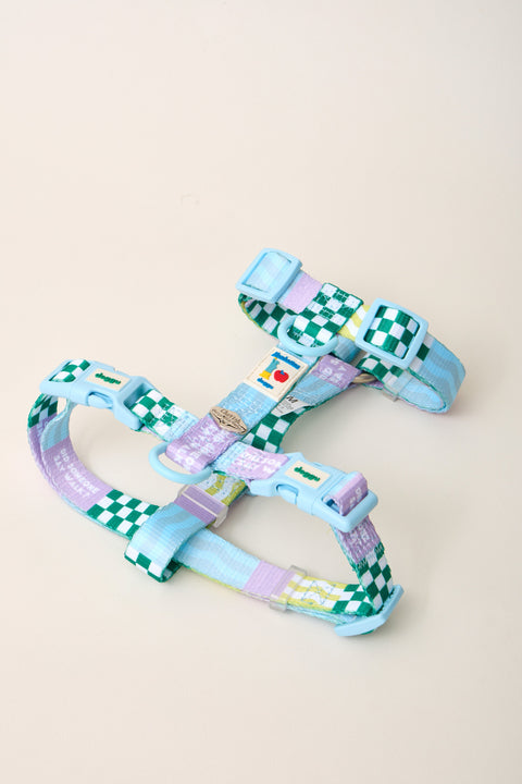 Doggu Cherish Every Little Thing H-Harness & Leash Set