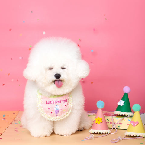 Doggu Vegan Leather Party Hat