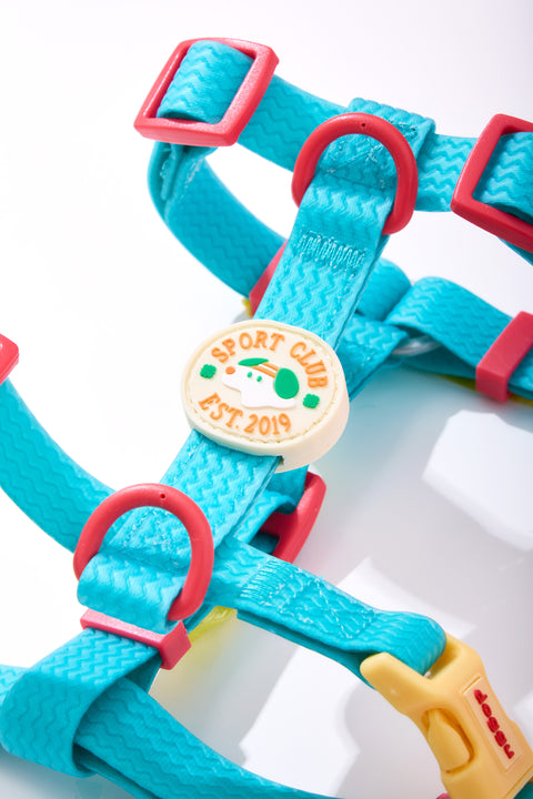 Close-up of the round cream SPORT CLUB EST. 2019 crest on the blue Doggu Sport Club dog harness