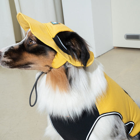 Dog wearing a yellow raincoat with a hood indoors