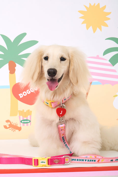 Doggu Bonjour Bébé Pink collar and leash styled beach background shot on a dog