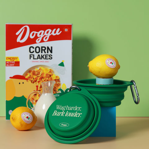 Doggu Water Bowl