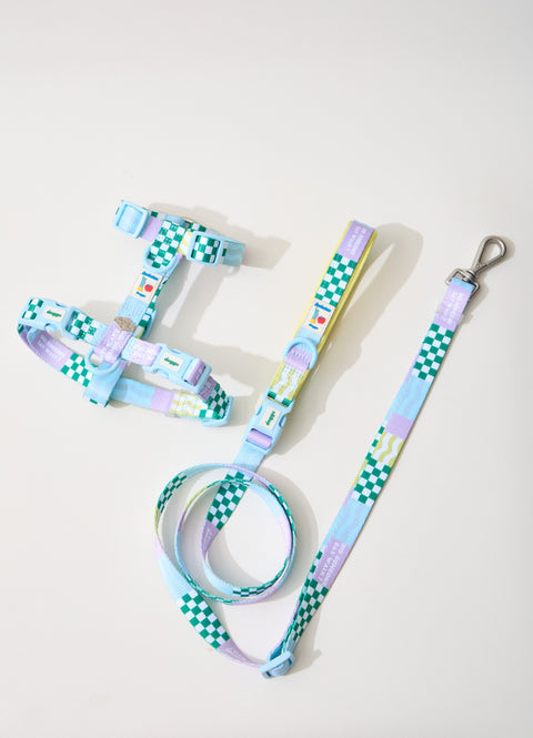 Doggu Cherish Every Little Thing H-Harness & Leash Set