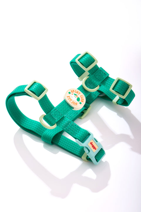 Doggu Sport Club waterproof dog harness in green, laid flat to show the Y-front, back D-ring and adjustable sliders