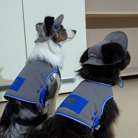 Clay Cooling Dog Hat