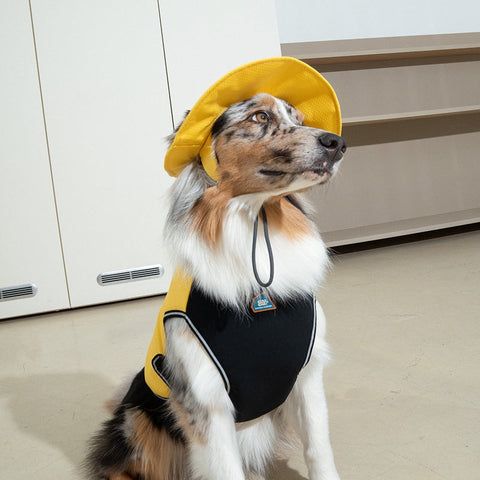 Dog wearing a yellow raincoat and hat indoors
