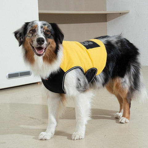 Clay Cooling Vest - Pet Cooling Vest
