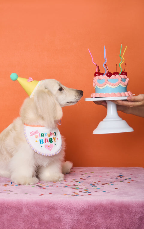 Doggu Vegan Leather Party Hat