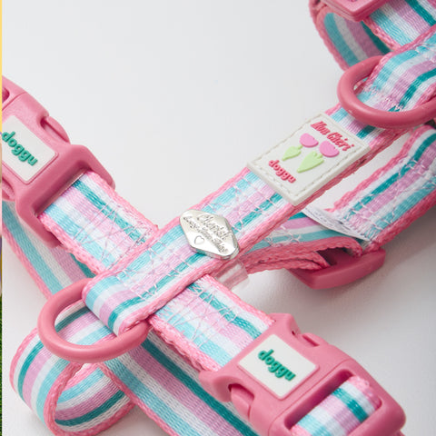 Doggu Cherish Every Little Thing H-Harness & Leash Set