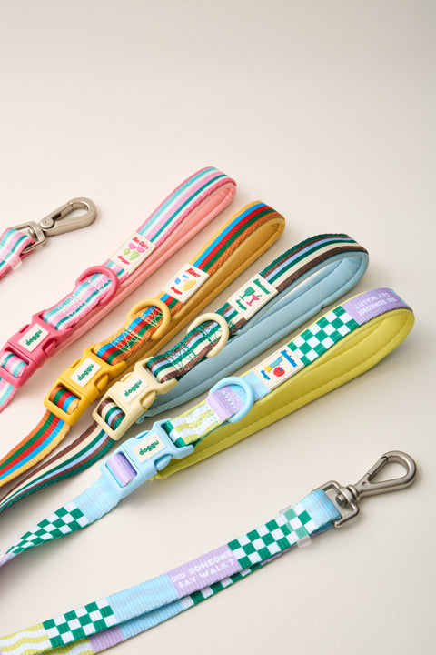 Doggu Cherish Every Little Thing H-Harness & Leash Set