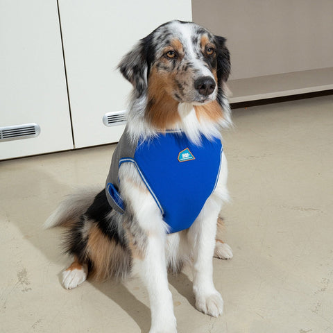 Clay Cooling Vest - Pet Cooling Vest