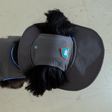 Clay Cooling Dog Hat