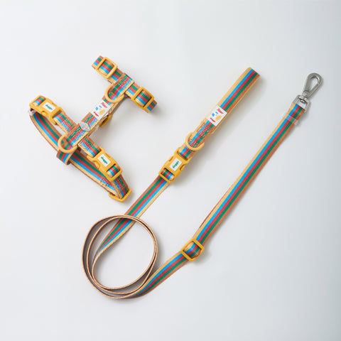 Doggu Cherish Every Little Thing H-Harness & Leash Set