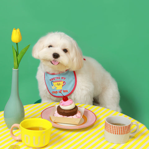 Doggu Foodie Bib - You're My Cup of Tea on a dog