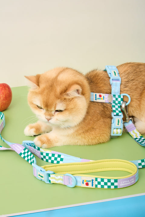 Doggu Cherish Every Little Thing H-Harness & Leash Set