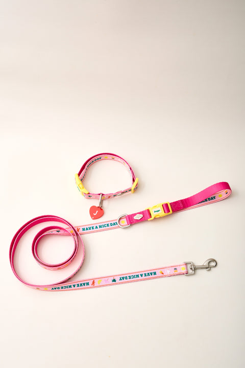 Doggu Bonjour Bébé Pink collar and leash flat lay, Have a Nice Day print